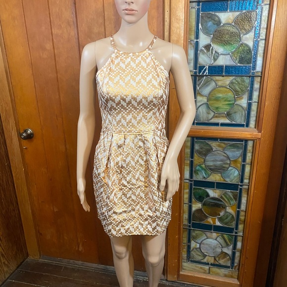 Rachel Rachel Roy Rose Gold and Cream Dress - Picture 1 of 10